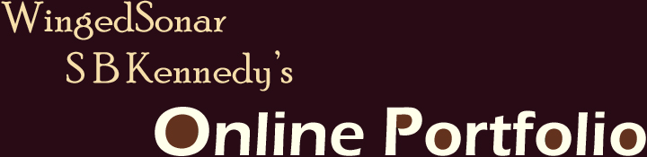 S B Kennedy's Online Art Portfolio: Freelance Work